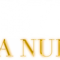 LOGO RITA LA NUIT sin fondo_Maxi